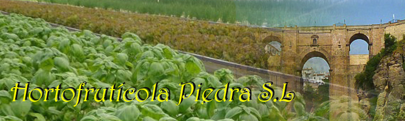 Hortofrutícola Piedra S.L.